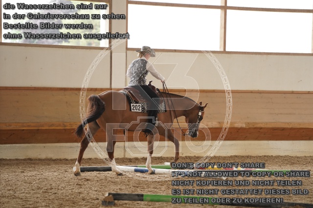 s_A_901729.JPG